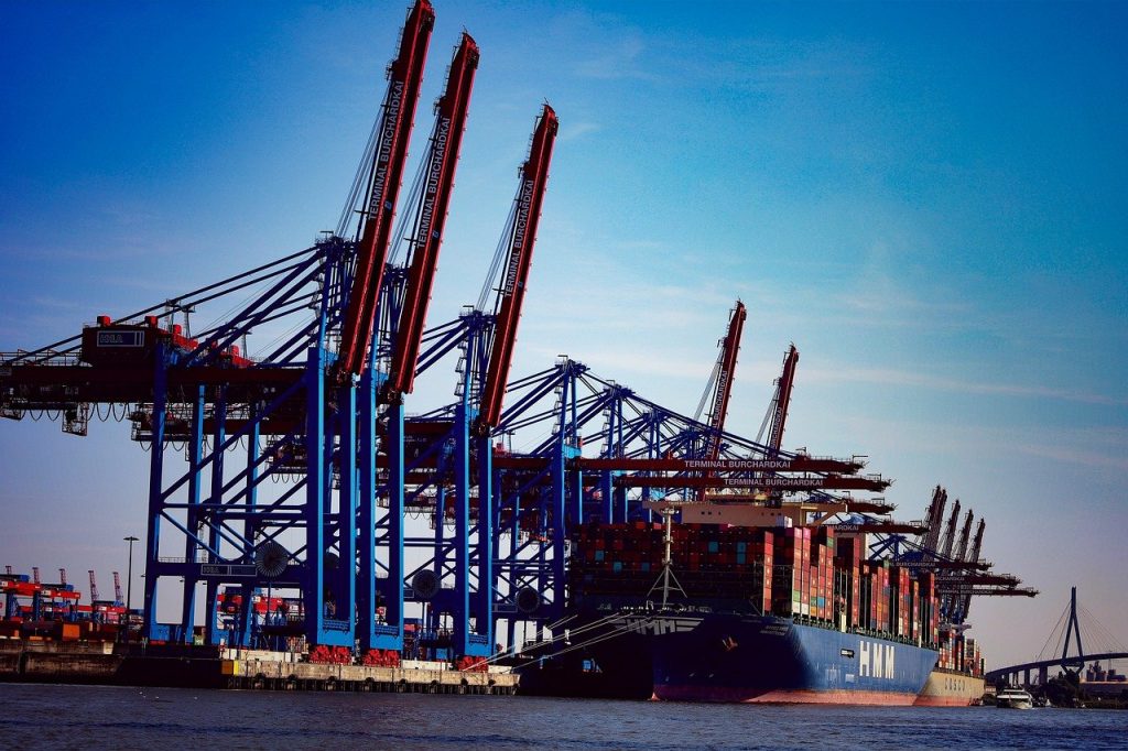 A global logistics network powered by Zippyy, ensuring seamless worldwide shipping.